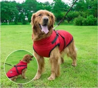 Waterproof Dog Coat With Harness