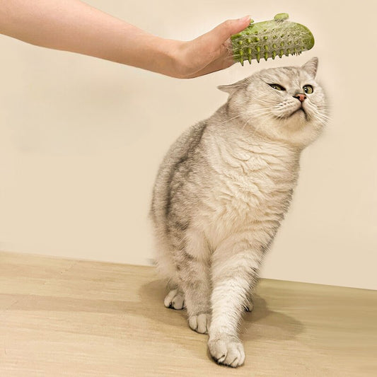 Pet Cat Hair Removal Massage Comb